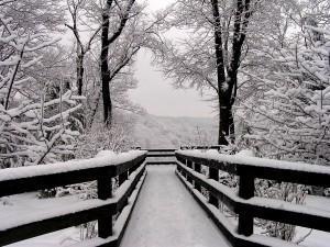 Snowfall