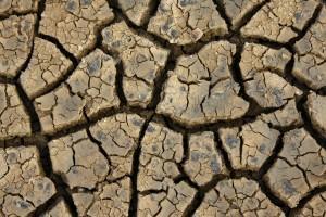 drought
