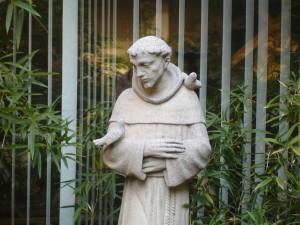 sjb-stfrancis