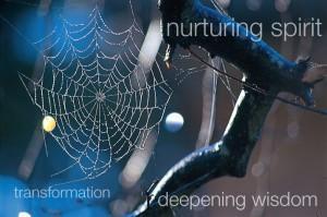 spiderweb
