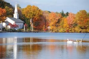 StJohn_Swans
