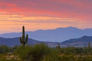 arizona