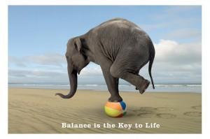 balance-elephant
